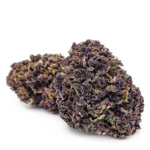 LSD purple cbd flower