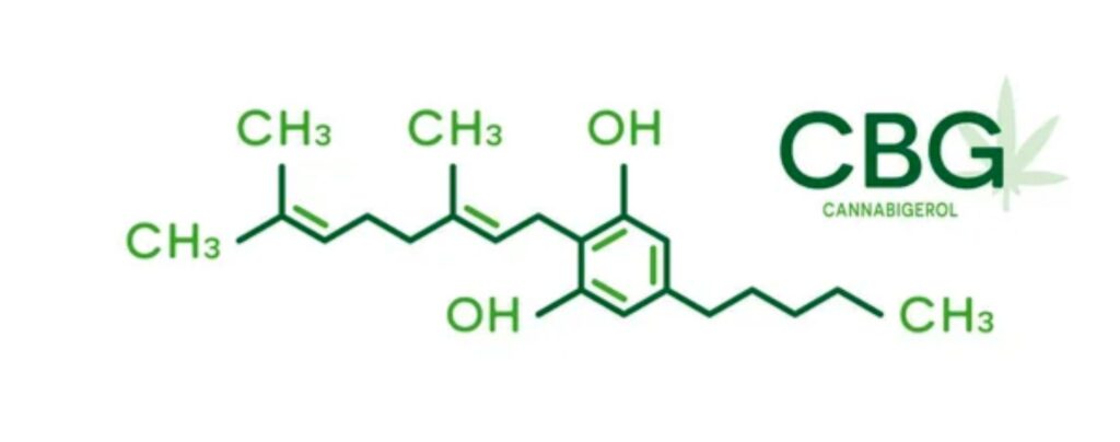 CBG molecula 1