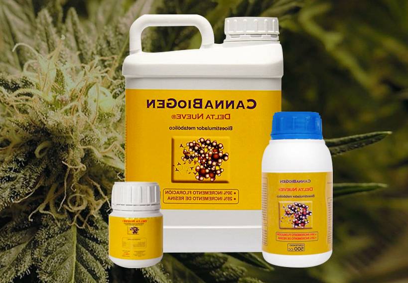 delta 9 cultivos cannabis