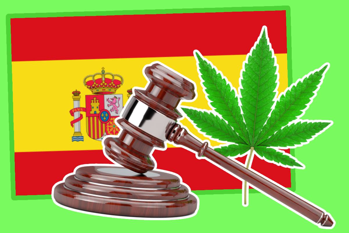 Weed Legal In Spain