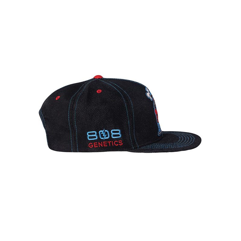 808 Genetics Cookie Black Snapback Hat 4