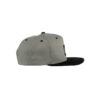 Bear Paw Gray Snapback Hat 4