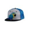 Blue Gold Macaw Feathers Snapback Hat