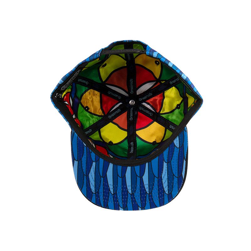 Blue Gold Macaw Feathers Snapback Hat 2