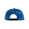 Blue Gold Macaw Feathers Snapback Hat 3
