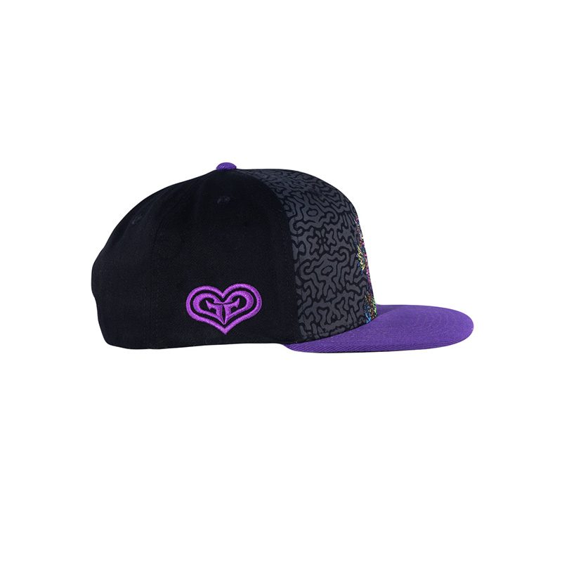 Chris Dyer Galaktic Gang Purple Snapback Hat 5