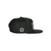 Chris Dyer Harmoneyes Blue Black Snapback Hat 4