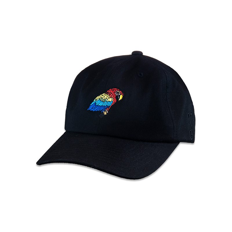 Scarlet Macaw Black Dad Hat