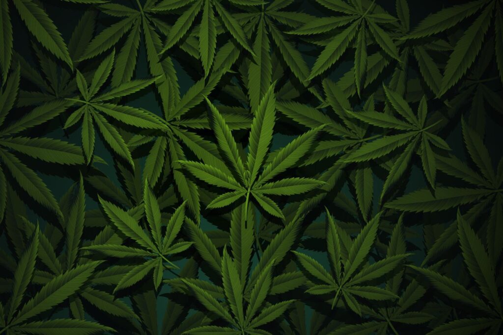 recortes hojas cannabis