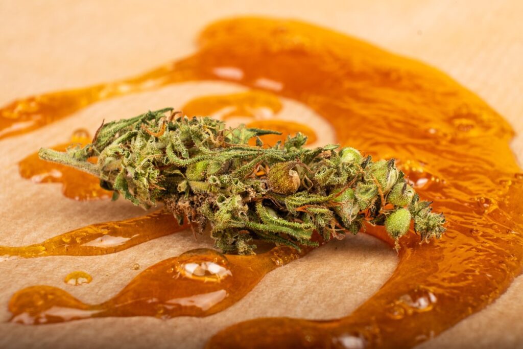 cogollos cannabis secos aceite cera concentrada closeup