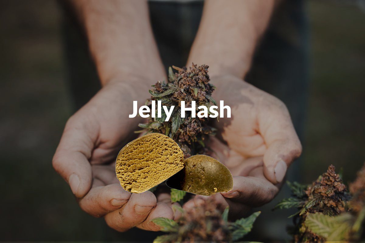 jelly hash